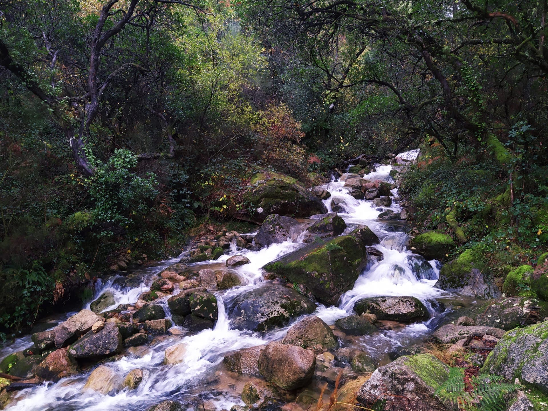 Paysage montagneux du parc national de Peneda-Gerês au Portugal